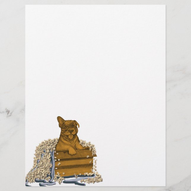 Puppy in a Box Custom Letterhead (Front)