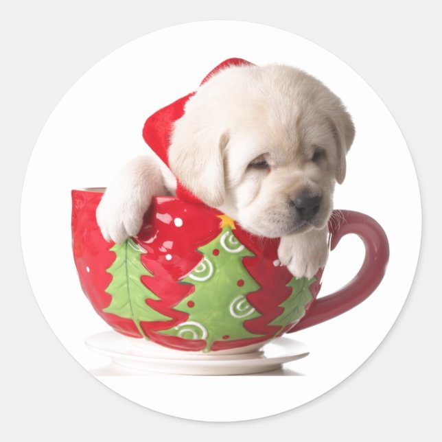 PUPPY IN A CUP CHRISTMAS STICKERS (Front)