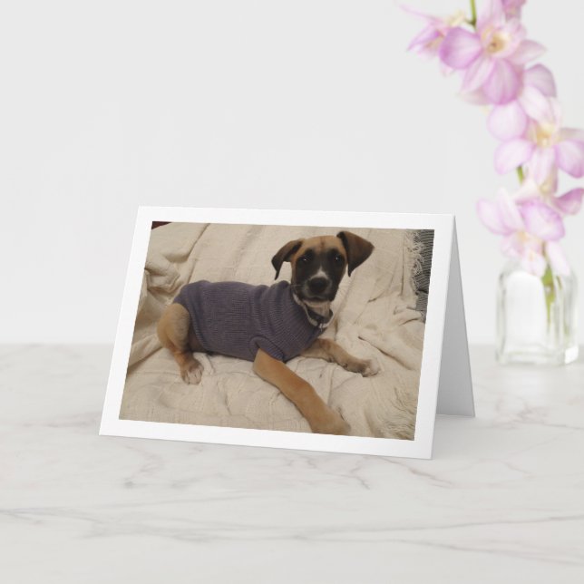 Puppy in a Jumper Card (Orchid)