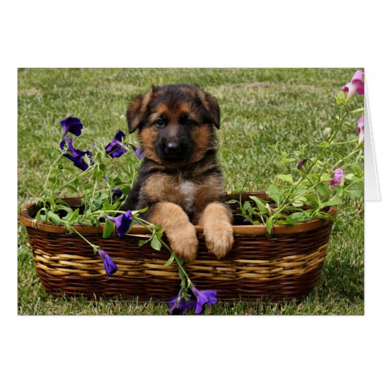 Puppy in Basket Card