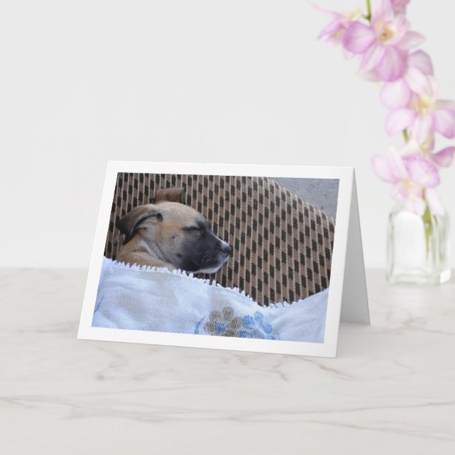 Puppy in Blanket Card (Orchid)