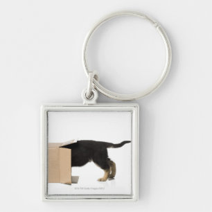 Puppy in cardboard box key ring