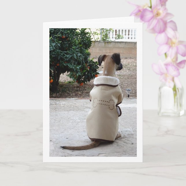 Puppy in Coat Card (Orchid)