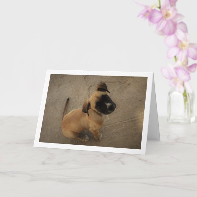 Puppy in Love Card (Orchid)