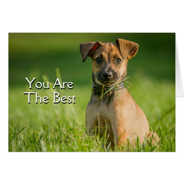 Puppy In The Grass (Front Horizontal)