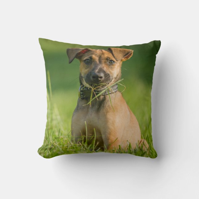 Puppy In The Grass Cushion (Front)