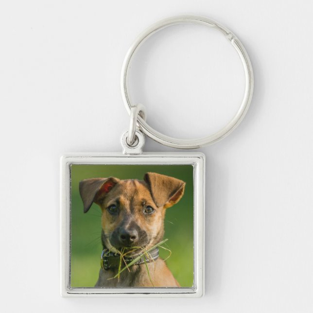 Puppy In The Grass Key Ring (Front)