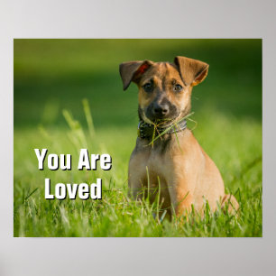 Puppy In The Grass Poster