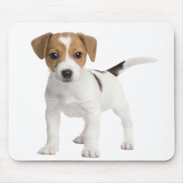 Puppy Jack russell Mouse Mat (Front)