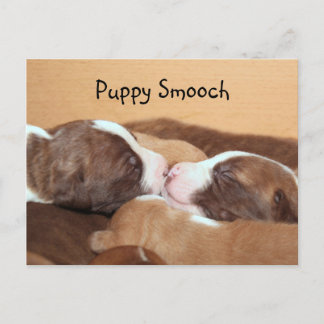 Puppy kiss postcard