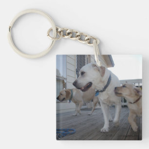 Puppy Kisses: Cream Colour Labrador Family Love,  Key Ring