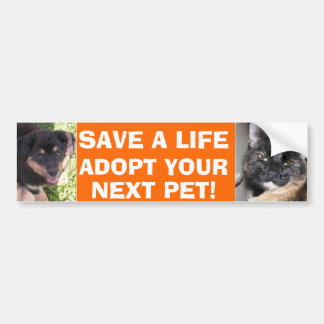 Puppy & Kitty Bumper Sticker