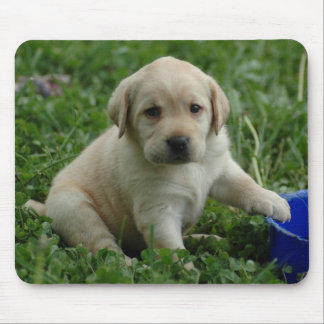 puppy-lab-HD-wallpaper Mouse Mat