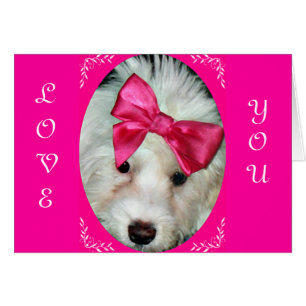 Puppy Love_