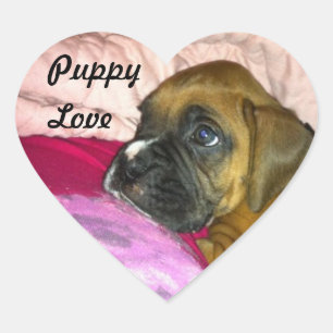 Puppy Love Boxer Sticker Dexter