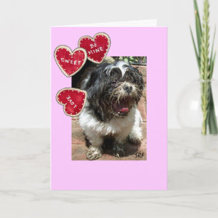 Puppy Love by SRF Holiday Card
