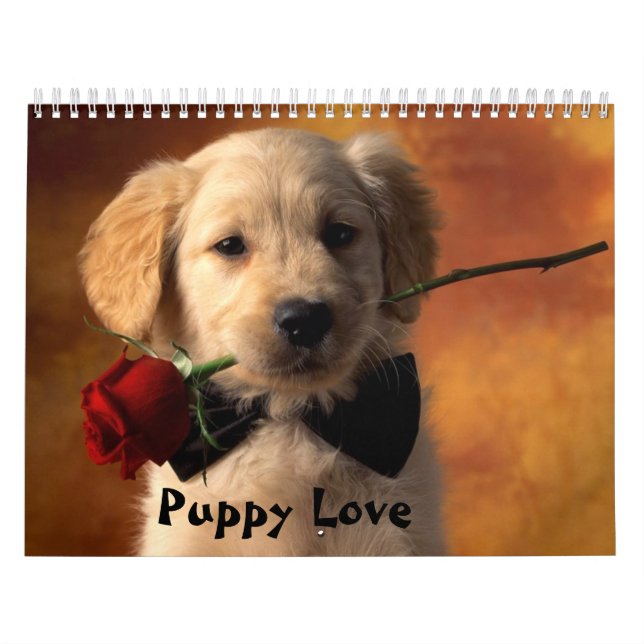 Puppy Love Calendar (Cover)