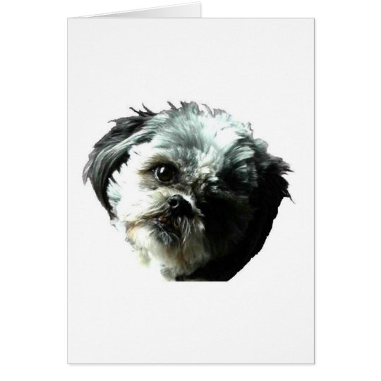puppy love card