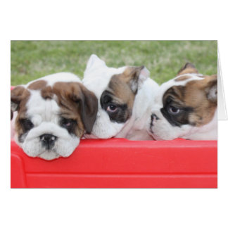 Puppy Love customisable card