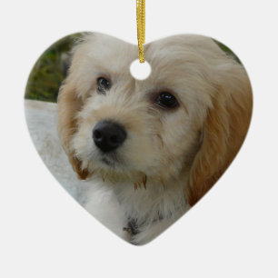 Puppy Love - Cute MaltiPoo Dog Photo Ceramic Tree Decoration