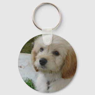 Puppy Love - Cute MaltiPoo Dog Photo Key Ring
