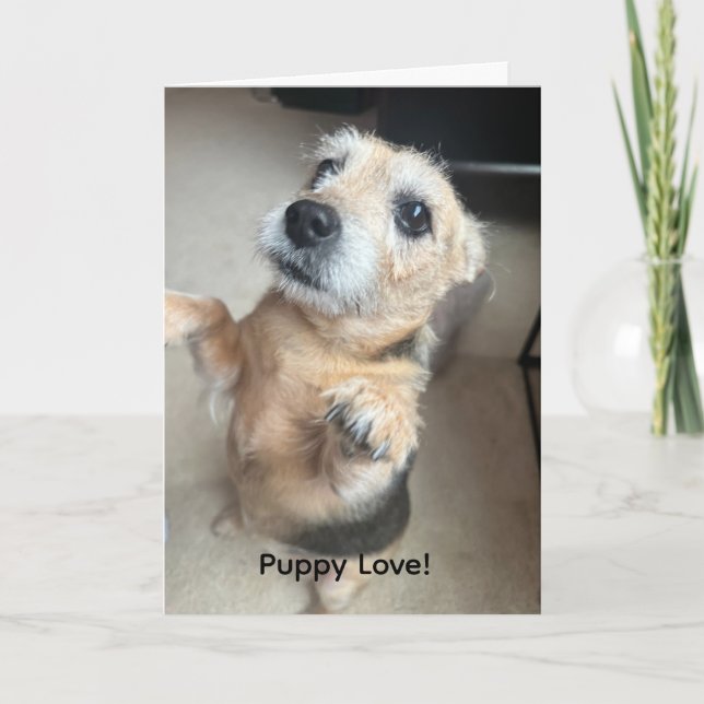Puppy Love Greeting Card (Front)