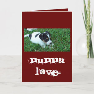 Puppy Love Holiday Card