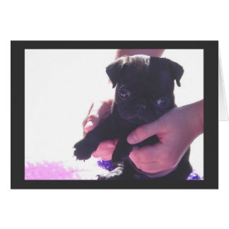 Puppy Love II
