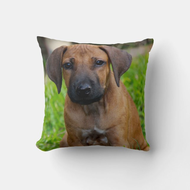 Puppy love IV Cushion (Front)