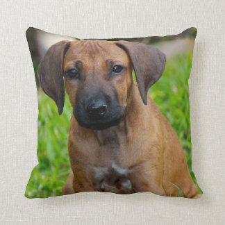 Puppy love IV Cushion