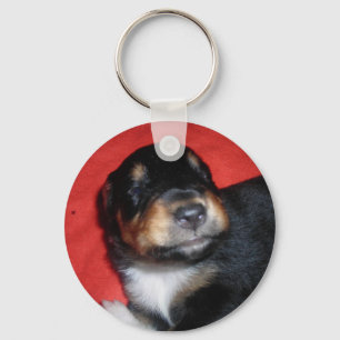 PUPPY LOVE KEY RING