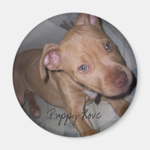 Puppy Love Magnet