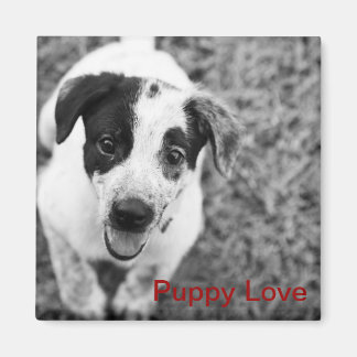 Puppy Love Magnet