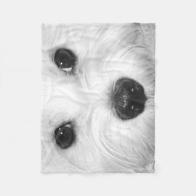 Puppy Love Maltese Magic in Every Glance Fleece Blanket (Front)