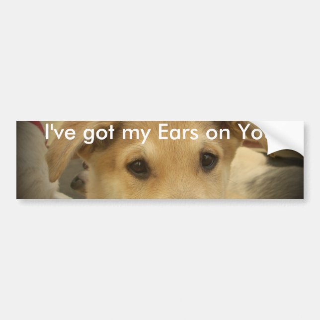 Puppy Love: Man's Best Friend Bumper Sticker (Front)