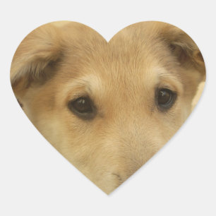 Puppy Love: Man's Best Friend Heart Sticker