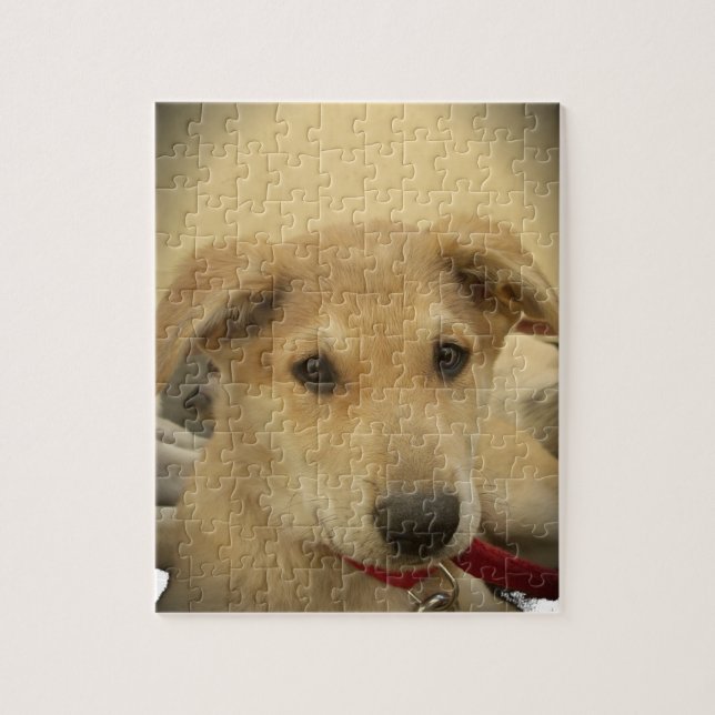 Puppy Love: Man's Best Friend Jigsaw Puzzle (Vertical)