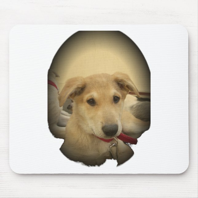 Puppy Love: Man's Best Friend Mouse Mat (Front)