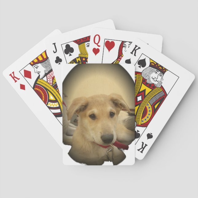 Puppy Love: Man's Best Friend Playing Cards (Back)