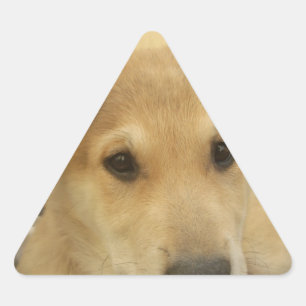 Puppy Love: Man's Best Friend Triangle Sticker
