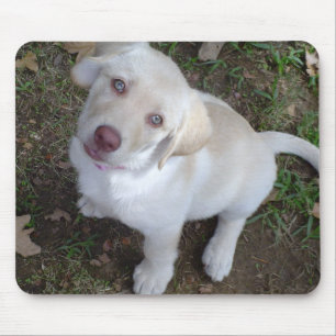 Puppy Love Mouse Mat