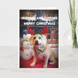 PUPPY LOVE NAUGHTY OR NICE AT CHRISTMAS HOLIDAY CARD