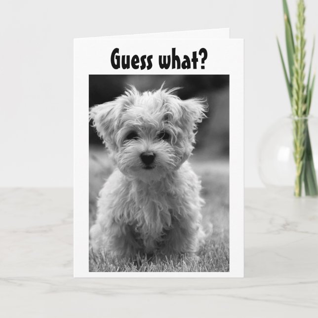 PUPPY LOVE NAUGHTY OR NICE AT CHRISTMAS HOLIDAY CARD (Front)