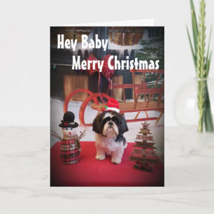 PUPPY LOVE NAUGHTY OR NICE AT CHRISTMAS HOLIDAY CARD