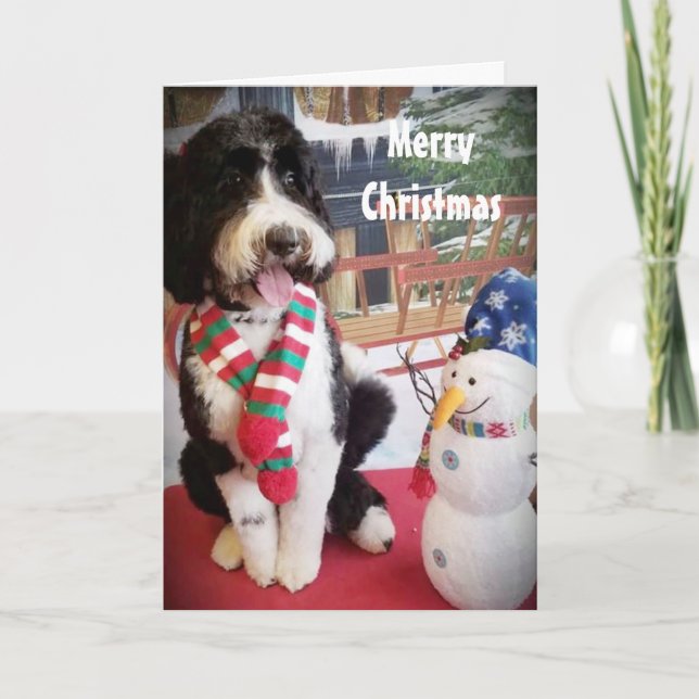 PUPPY LOVE NAUGHTY OR NICE AT CHRISTMAS HOLIDAY CARD (Front)