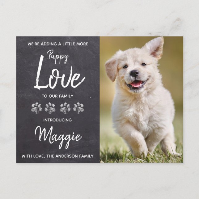 Puppy Love New Pet Dog Announcement Postcard (Front)