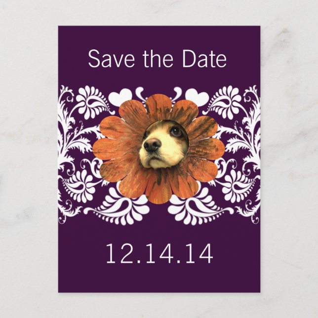 Puppy Love Peeking Out of a Flower Announcement Postcard (Front)