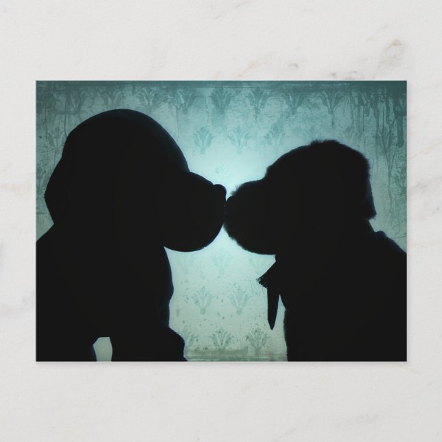 Puppy love postcard (Front)