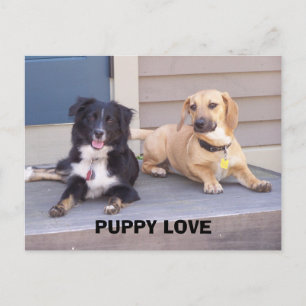 PUPPY LOVE POSTCARD