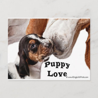 puppy love postcard